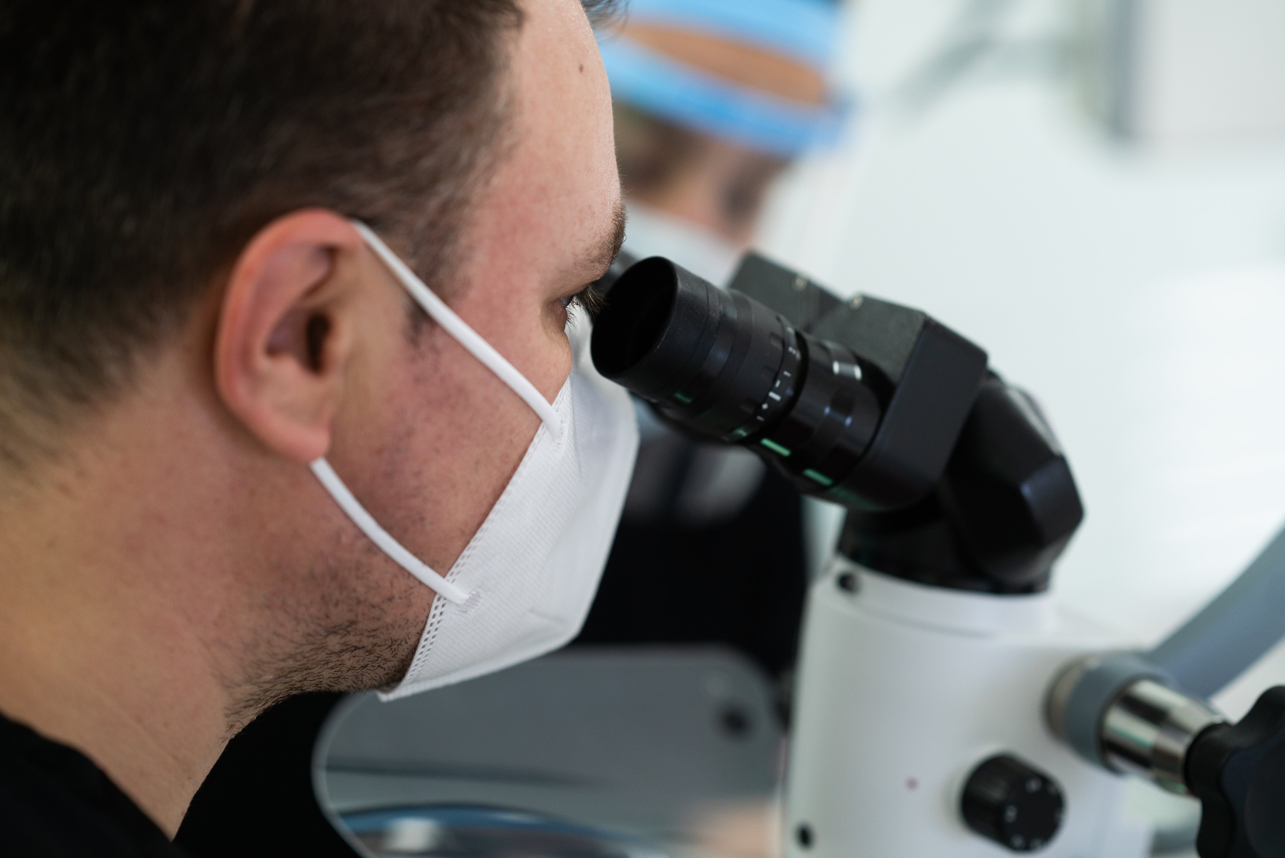 Foto: Endodonție microscopică